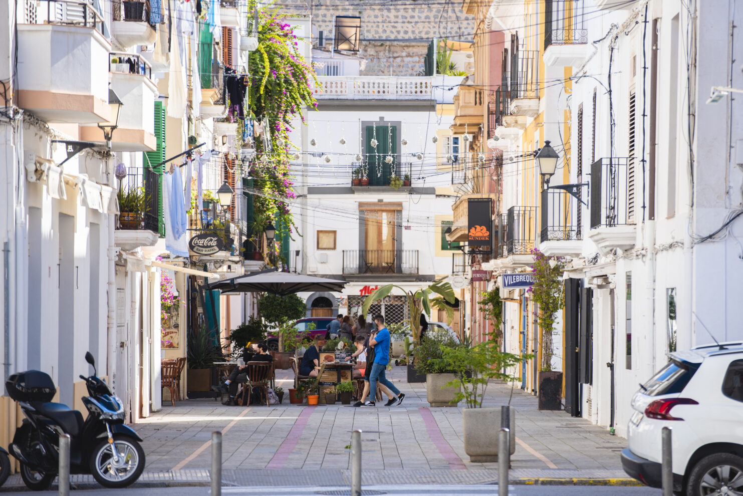 A Complete Guide on the Tourist License in 2024 Real Estate