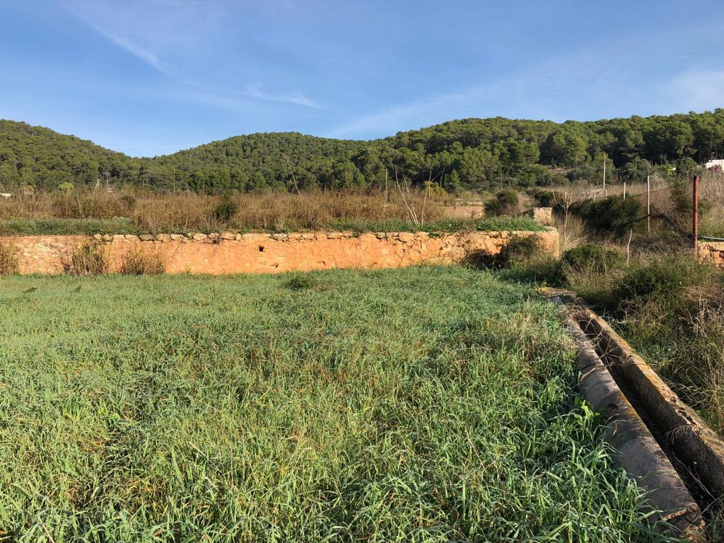 land for sale in ibiza